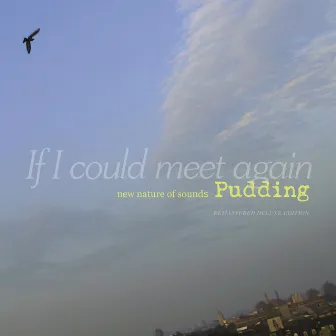 If I Could Meet Again (Remastered Deluxe Edition) by Pudding