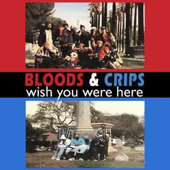 Wish You Were Here by Bloods & Crips