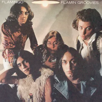 Flamingo by Flamin' Groovies