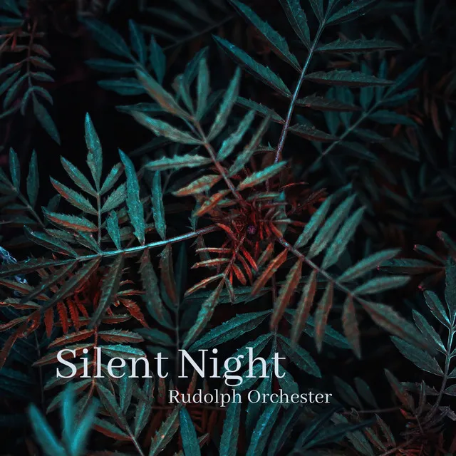 Silent Night