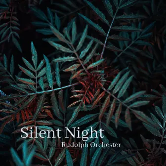 Silent Night by Rudolph Orchester