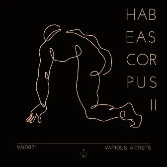 Habeas Corpus 2 by Air Horse One