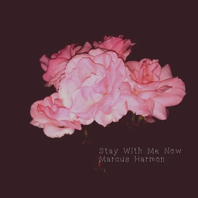 Stay With Me Now