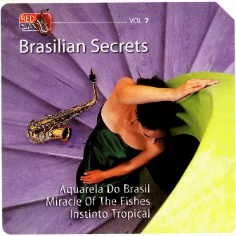 Brasilian Secrets, Vol. 7 by Ros Pepito