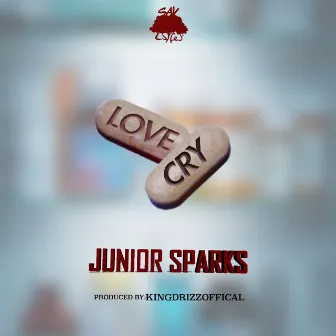 Love Cry by Junior Sparks