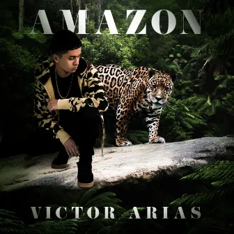 Amazon by Vlade