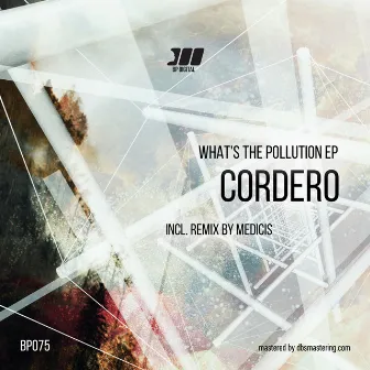 What's The Polution by Cordero