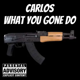 What You Gone Do by Carlos