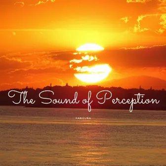 The Sound of Perception by PANGURA