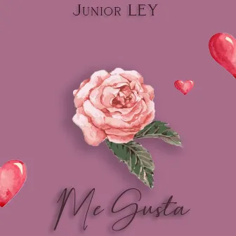 Me Gusta by Junior LEY