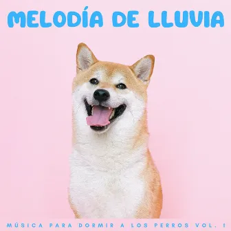 Melodía De Lluvia: Música Para Dormir A Los Perros Vol. 1 by Música para dormir de perros