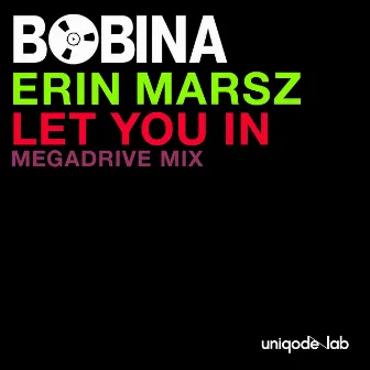 Let You In (Megadrive Mix) by Erin Marsz