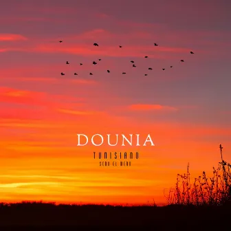 Dounia by Tunisiano