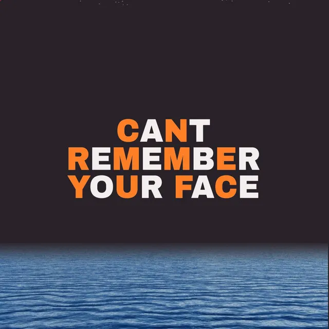 Cant Remember Your Face