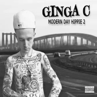 Modern Day Hippie 2 by Ginga C