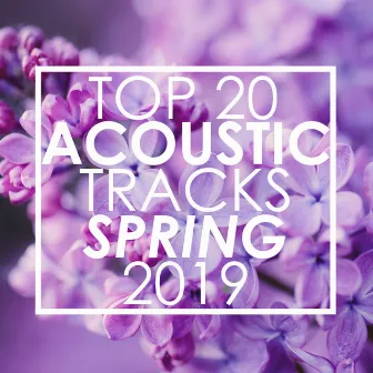 Top 20 Acoustic Tracks Spring 2019 (Instrumental) by Guitar Tribute Players