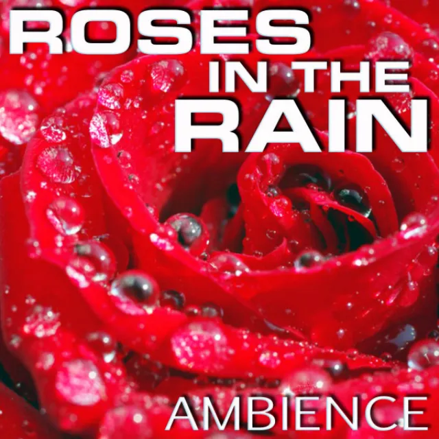 Ambience of Roses in the Rain