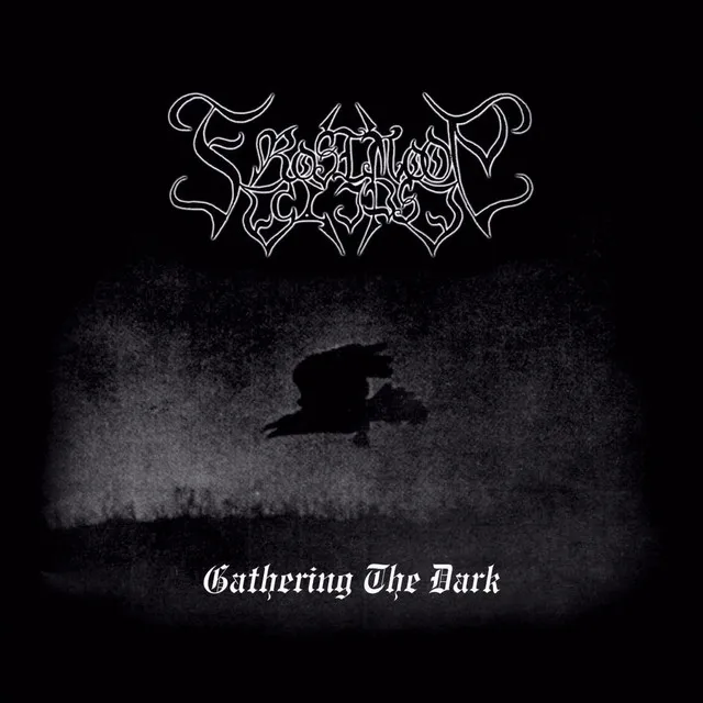 Gathering The Dark