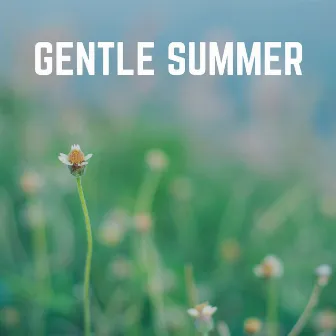 Gentle Summer by Unknown Artist