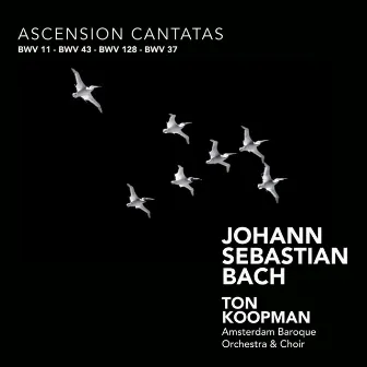 Bach: Ascension Cantatas by Amsterdam Baroque Orchestra & Choir