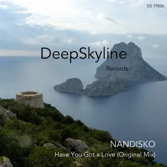 Have You Got a Love by NANDISKO