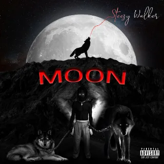 Moon by Steezy Walker