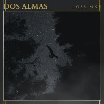 Dos Almas by JOSS MXE