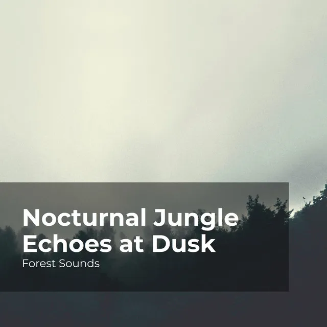 Nocturnal Jungle Echoes at Dusk