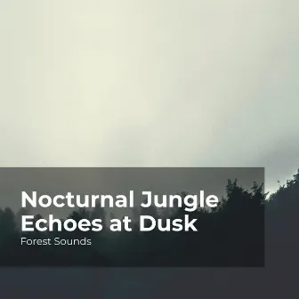 Nocturnal Jungle Echoes at Dusk by Forest Sounds