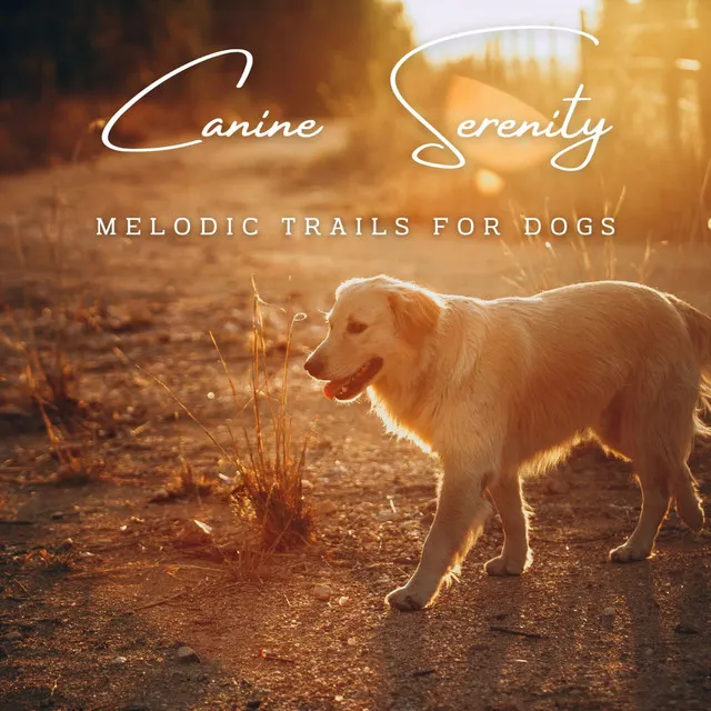 Melodic Trails for Dogs