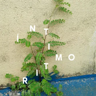 Íntimo Ritmo by Leo Bianchini