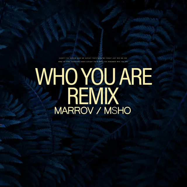 Who You Are - MSHO Remix