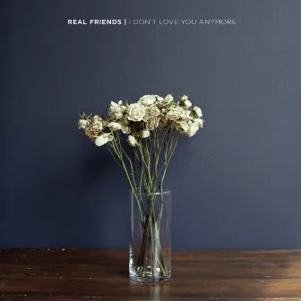 I Don't Love You Anymore by Real Friends