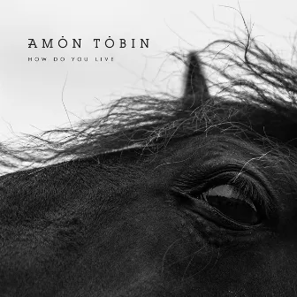 How Do You Live by Amon Tobin