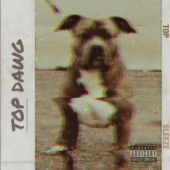 TOP DAWG by TOP