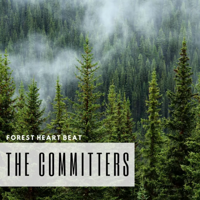 Forest Heart Beat