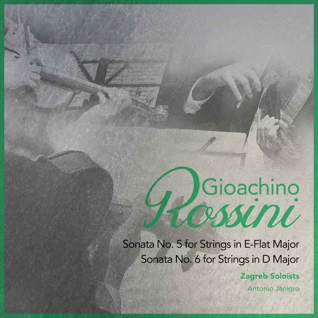 Sonata No. 6 for Strings in D Major: II. Andante assai