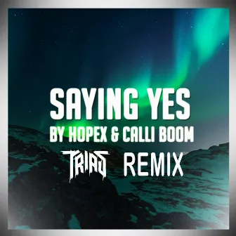 Saying Yes (Remix) by Trias