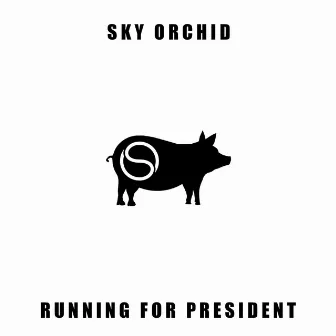 Running for President by Sky Orchid