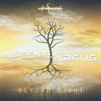 Beyond Sight by Ascent