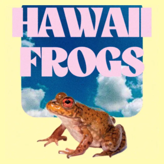 hawaii frogs