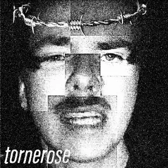 Tornerose by Lykkestein