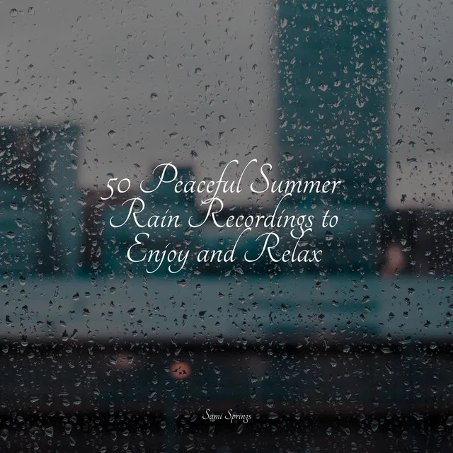 50 Peaceful Summer Rain Recordings to Enjoy and Relax