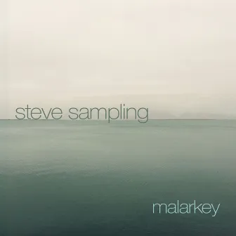 Malarkey by Steve Sampling