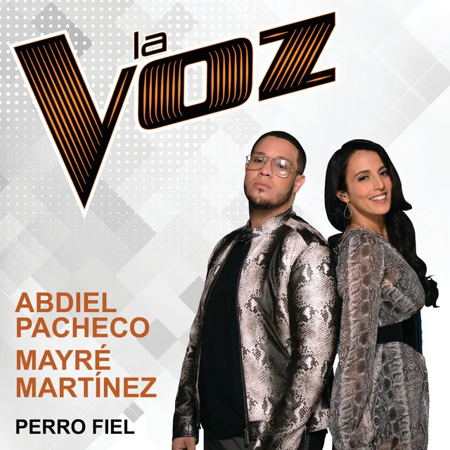 Perro Fiel - La Voz US