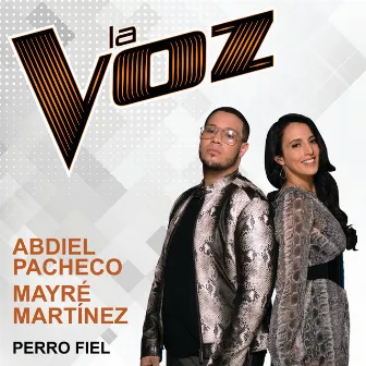 Perro Fiel (La Voz US) by Mayré Martínez