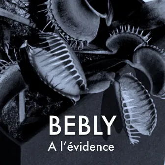 A l'évidence by Bebly