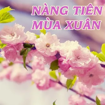 Nàng Tiên Mùa Xuân by Anh Tài