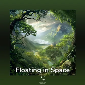 Floating in Space by Gentle Wind