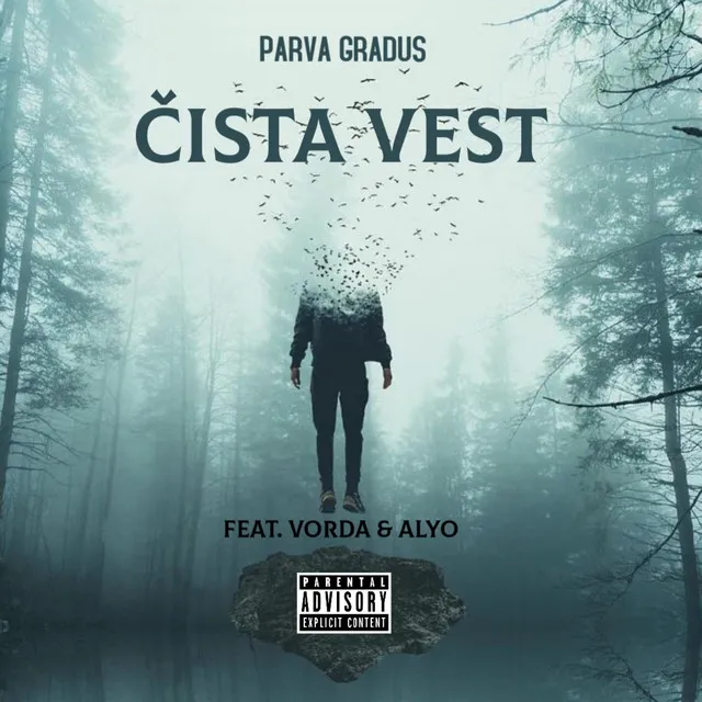 Čista vest